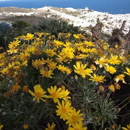 Сasa de vacaciones Aegean Horizon Ano Syros