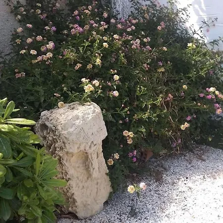 Aegean Horizon Σπίτι διακοπών Άνω Σύρος